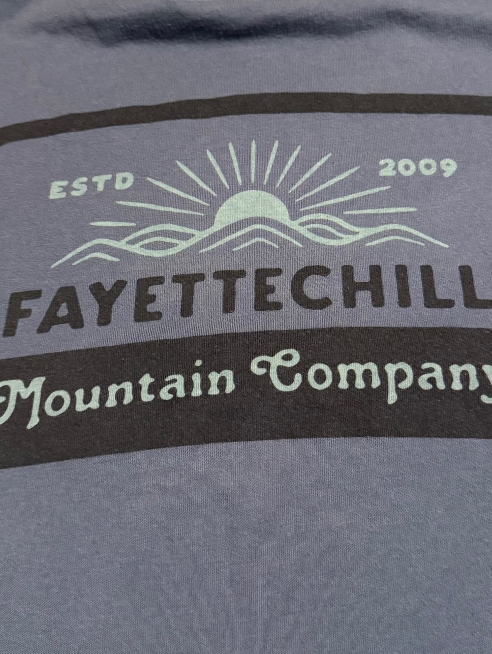 Fayettechill Mountain Company Graphic T-Shirt Blue Gray Outdoor Nature Men Small